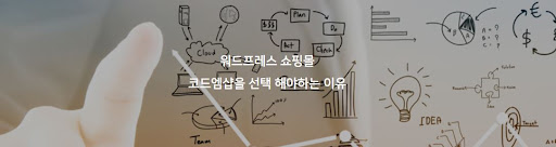 전 세계적으로 인기 있는 우커머스 쇼핑몰 사례 분석