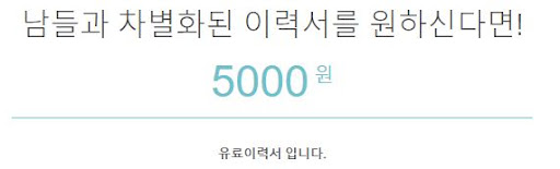나만의 이력서 양식